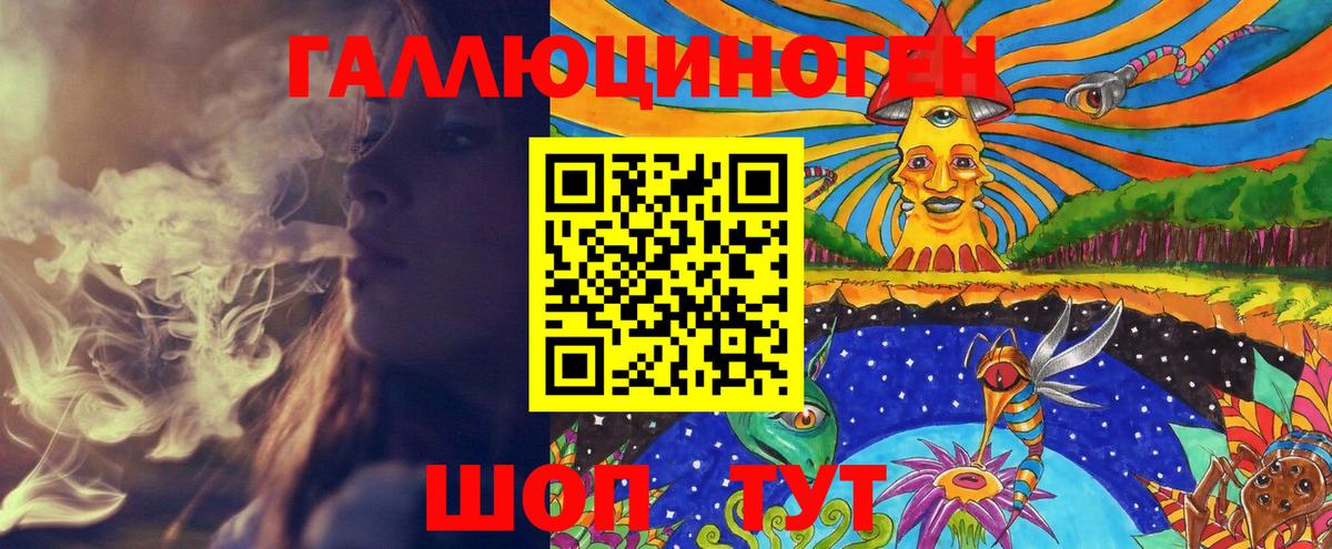 Псилоцибиновые грибы Psilocybe  Вход с VPN  Карачаевск 
